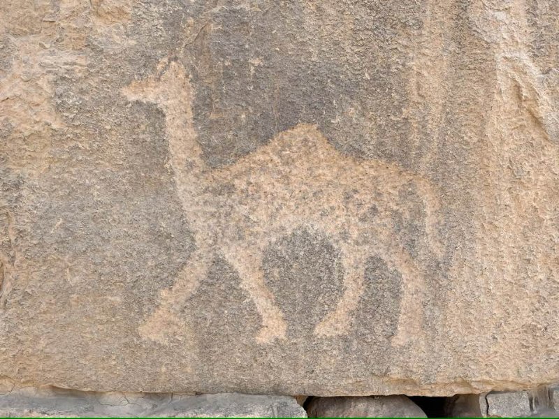 2026 01 18s - JoceMidée.jpg