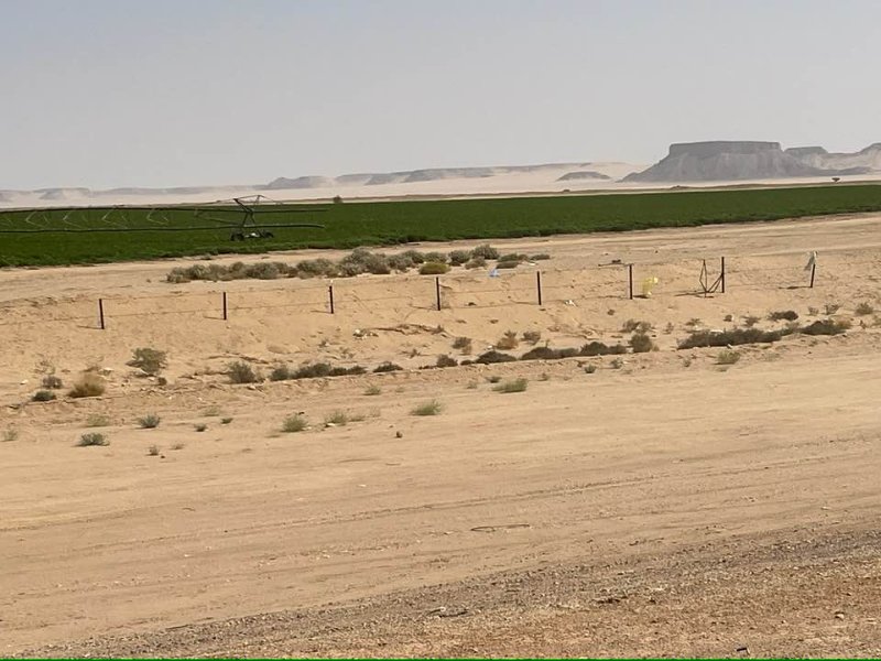 2026 01 19j - JoceMidée.jpg