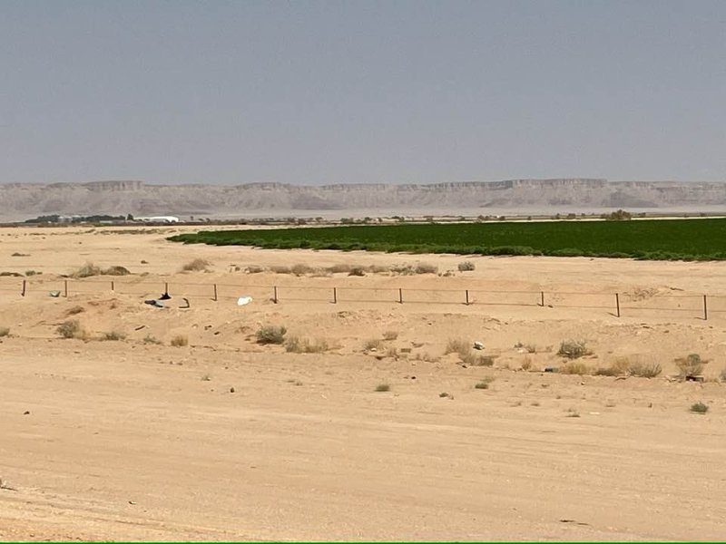 2026 01 19ja - JoceMidée.jpg