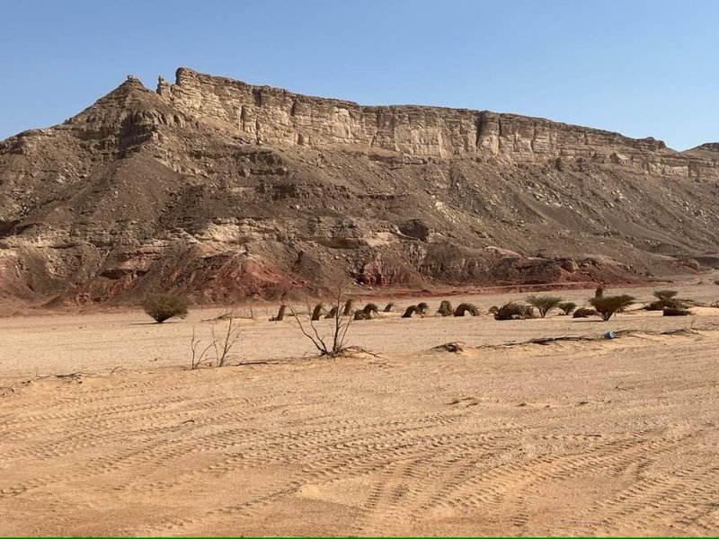 2026 01 19m - JoceMidée.jpg