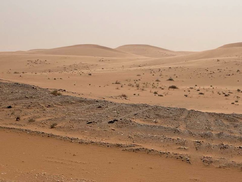 2026 01 21g - JoceMidée.jpg