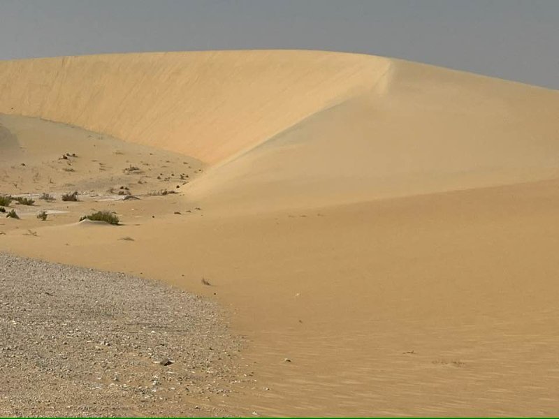 2026 01 22r - JoceMidée.jpg