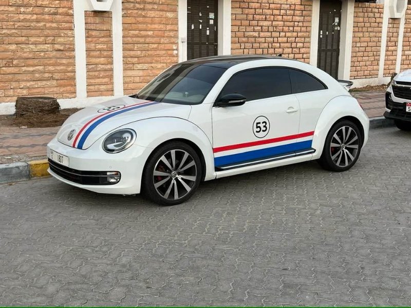 2026 01 23fa - JoceMidée.jpg