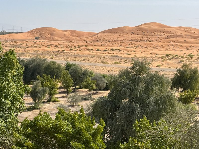 2026 01 24o - JoceMidée.jpg