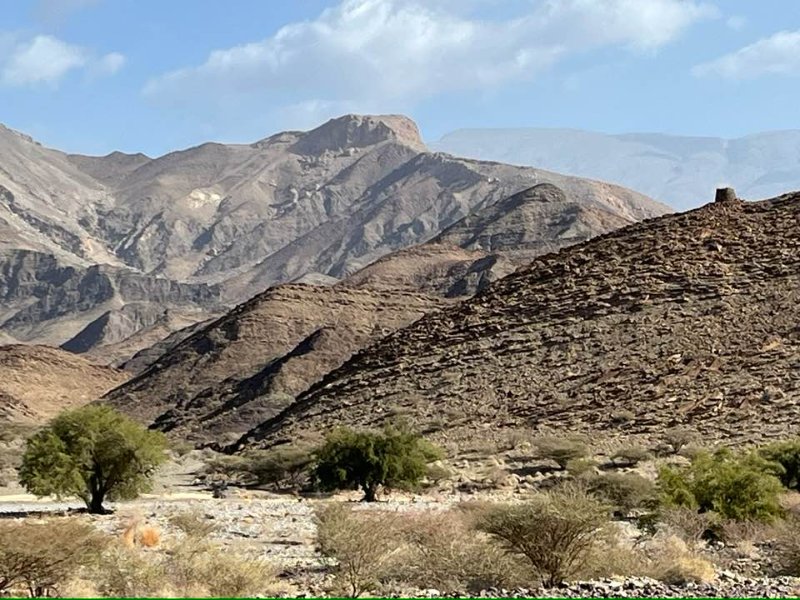 2026 01 26c - JoceMidée.jpg