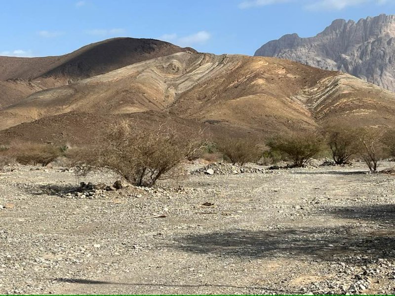 2026 01 26d - JoceMidée.jpg