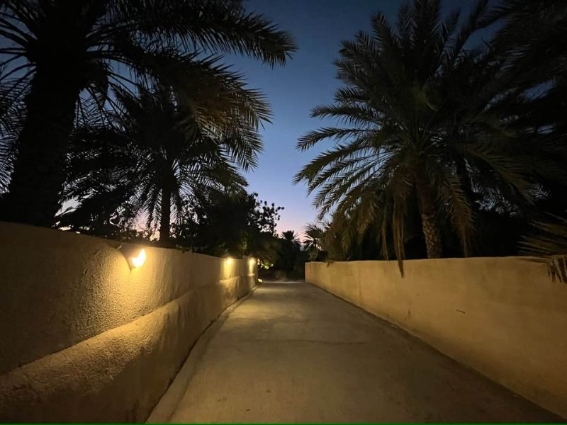 2026 01 26g - JoceMidée.jpg