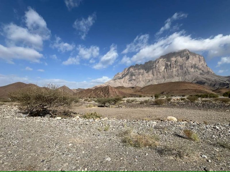 2026 01 26i - JoceMidée.jpg