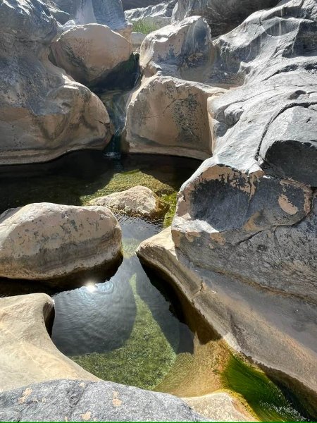 2026 01 26ka - JoceMidée.jpg