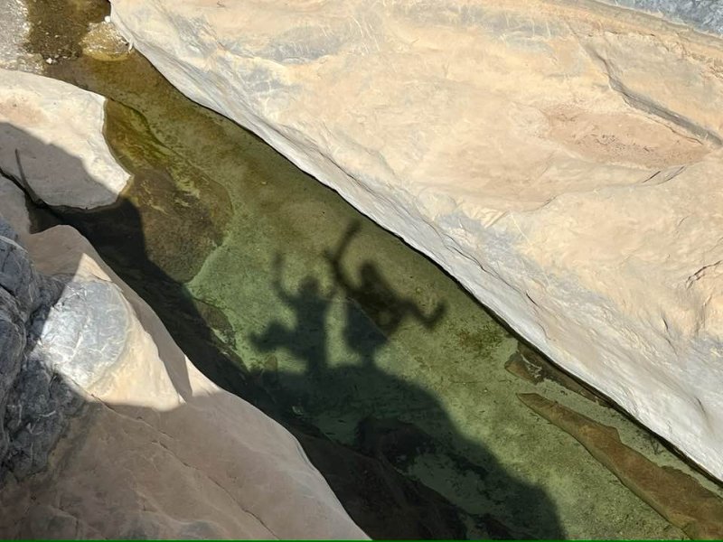 2026 01 26l - JoceMidée.jpg