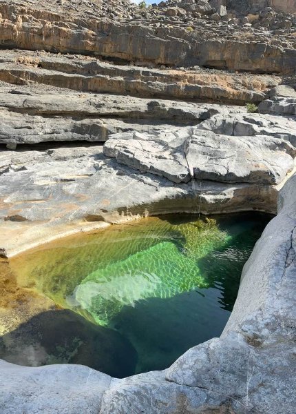 2026 01 26m - JoceMidée.jpg