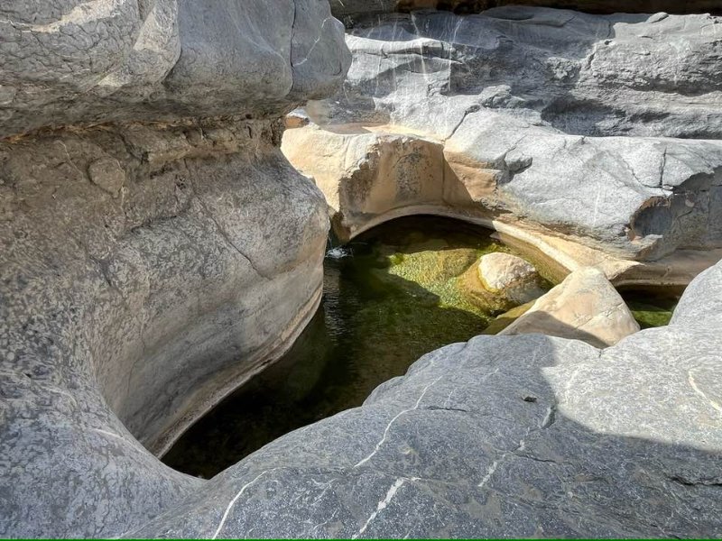 2026 01 26mb - JoceMidée.jpg