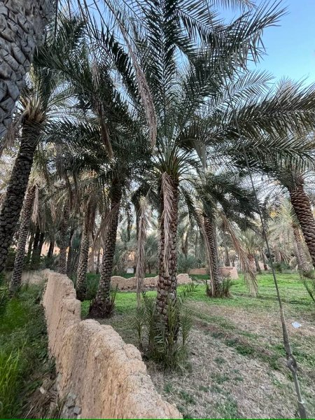 2026 01 26p - JoceMidée.jpg