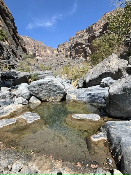 2026 01 27a - JoceMidée.jpg