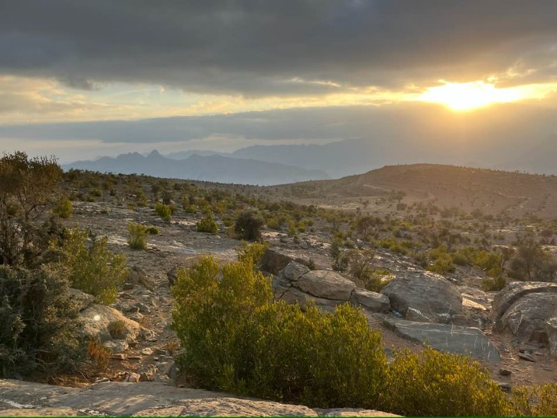 2026 01 27d - JoceMidée.jpg