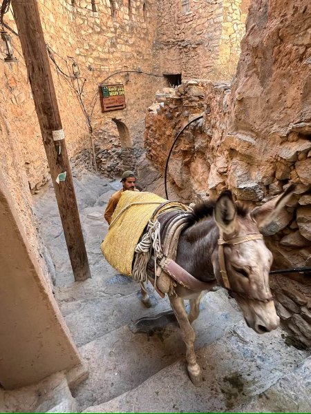 2026 01 27g - JoceMidée.jpg