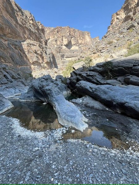 2026 01 27h - JoceMidée.jpg