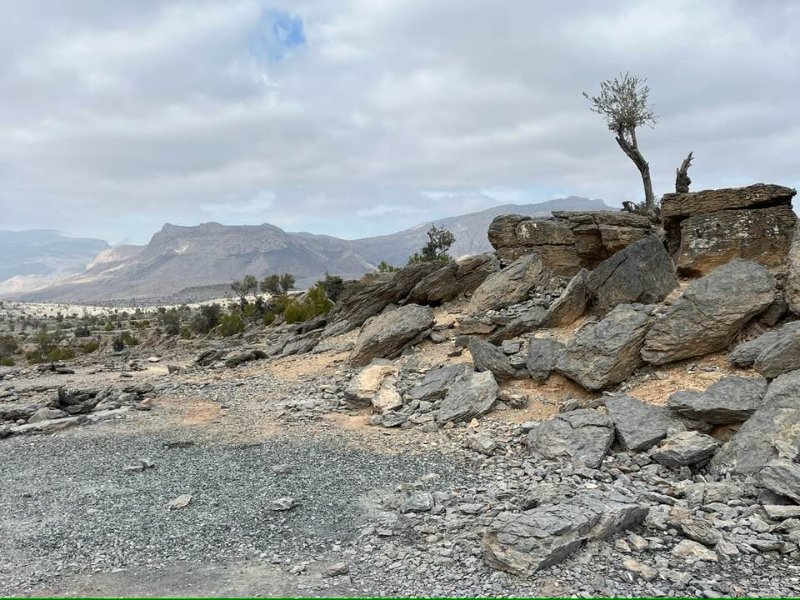 2026 01 27q - JoceMidée.jpg