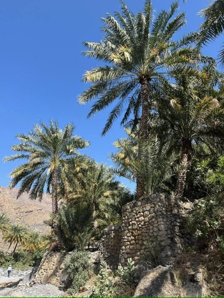 2026 01 27r - JoceMidée.jpg