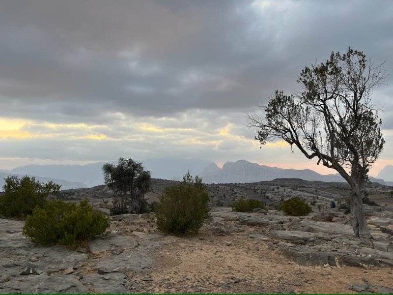 2026 01 27u - JoceMidée.jpg