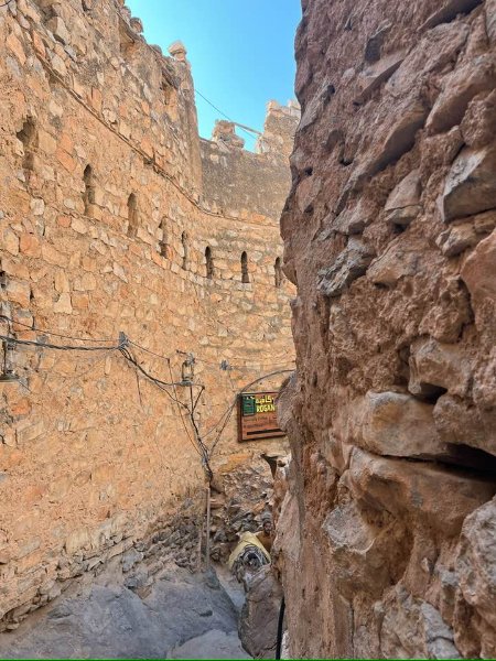 2026 01 27y - JoceMidée.jpg