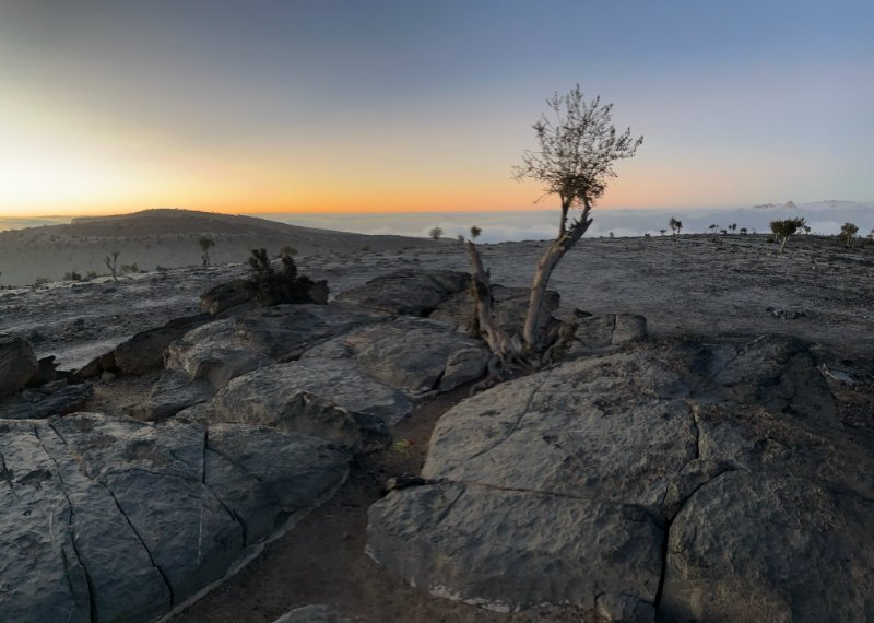 2026 01 28b - JoceMidée.jpg