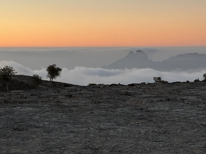 2026 01 28c - JoceMidée.jpg