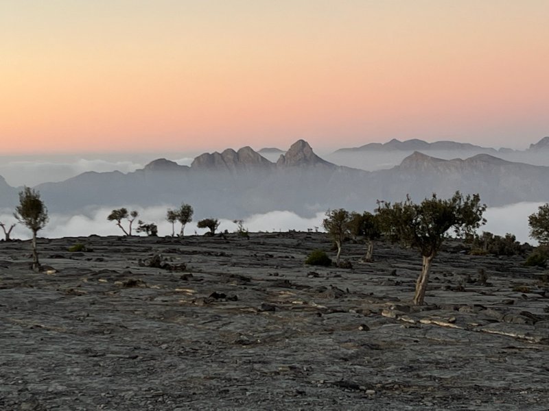 2026 01 28d - JoceMidée.jpg