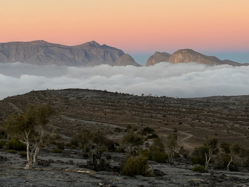 2026 01 28e - JoceMidée.jpg