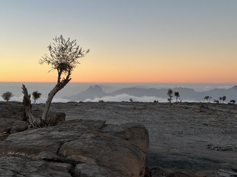 2026 01 28g - JoceMidée.jpg