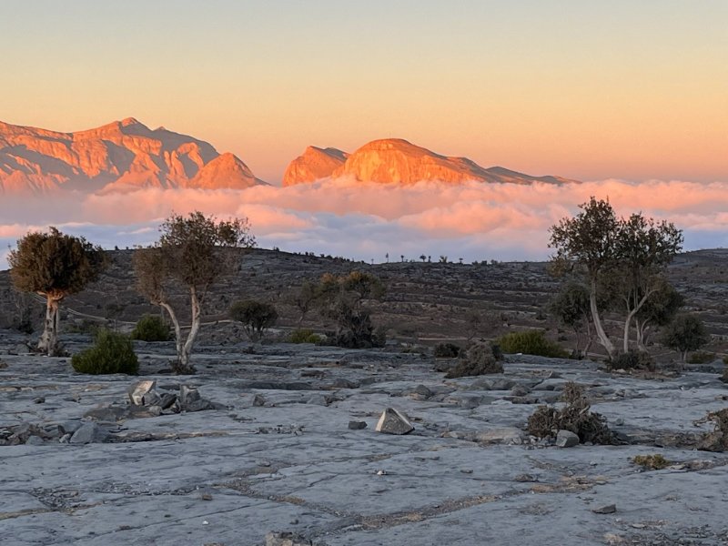 2026 01 28j - JoceMidée.jpg