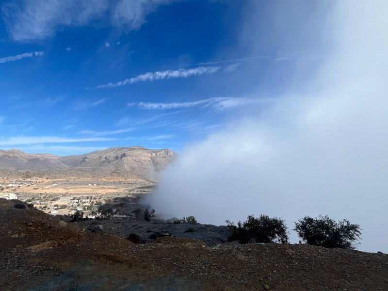 2026 01 28r - JoceMidée.jpg