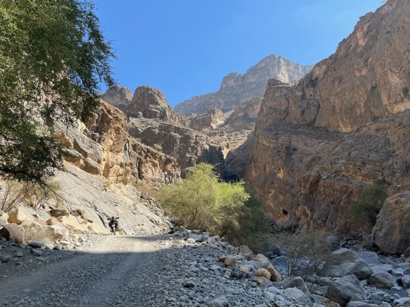 2026 01 29k - JoceMidée.jpg