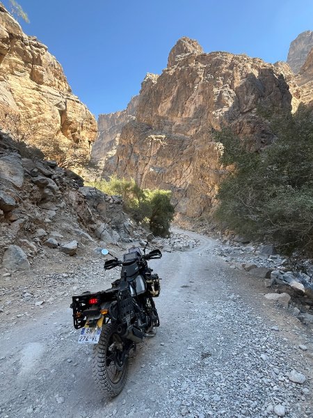 2026 01 29l - JoceMidée.jpg