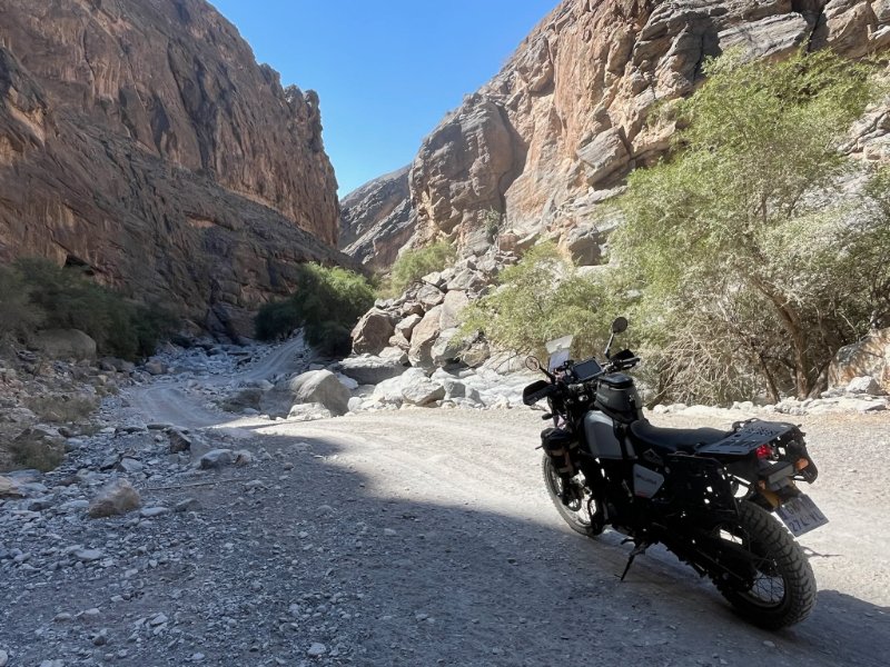 2026 01 29p - JoceMidée.jpg