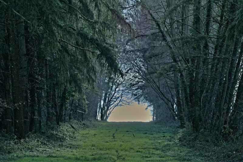 29 01 26 Grandchamps (15).jpg