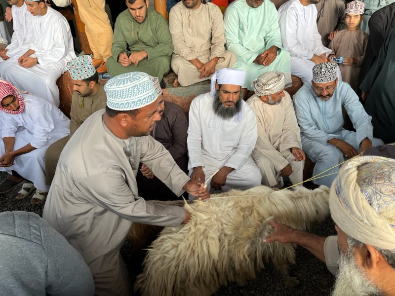 2026 01 30e - JoceMidée.jpg