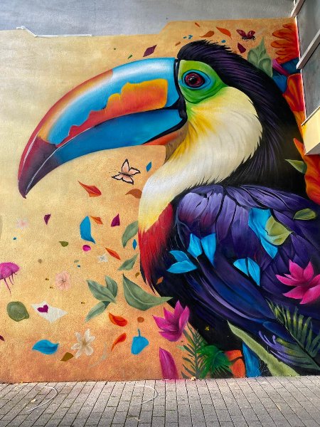 WhatsApp Image 2026-01-30 at 19.11.50_2.jpeg