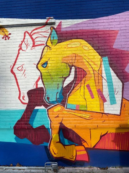 WhatsApp Image 2026-01-30 at 19.11.50_4.jpeg