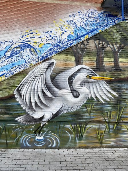 WhatsApp Image 2026-01-30 at 19.11.50_5.jpeg