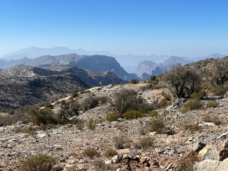 2026 01 31k - JoceMidée.jpg