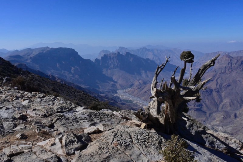 2026 01 31m - JoceMidée.jpg