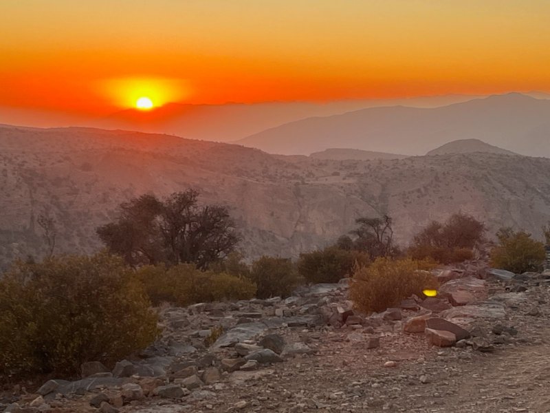 2026 01 31s - JoceMidée.jpg