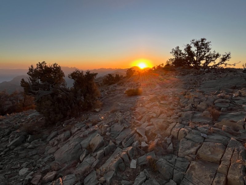 2026 02 01d - JoceMidée.jpg