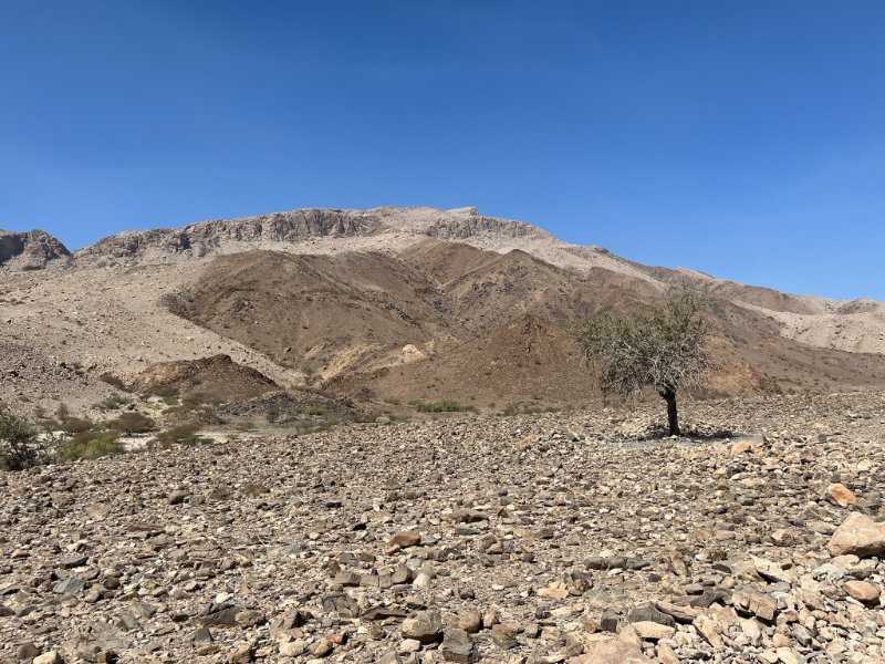 2026 02 01l - JoceMidée.jpg