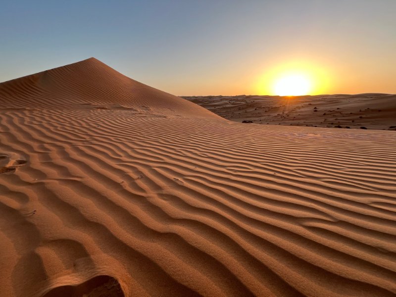 2026 02 01y - JoceMidée.jpg