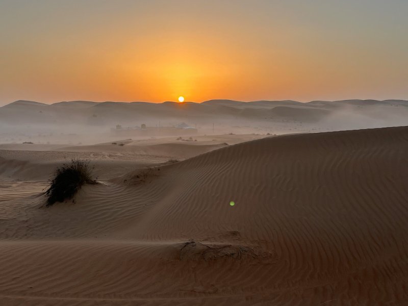 2026 02 02b - JoceMidée.jpg