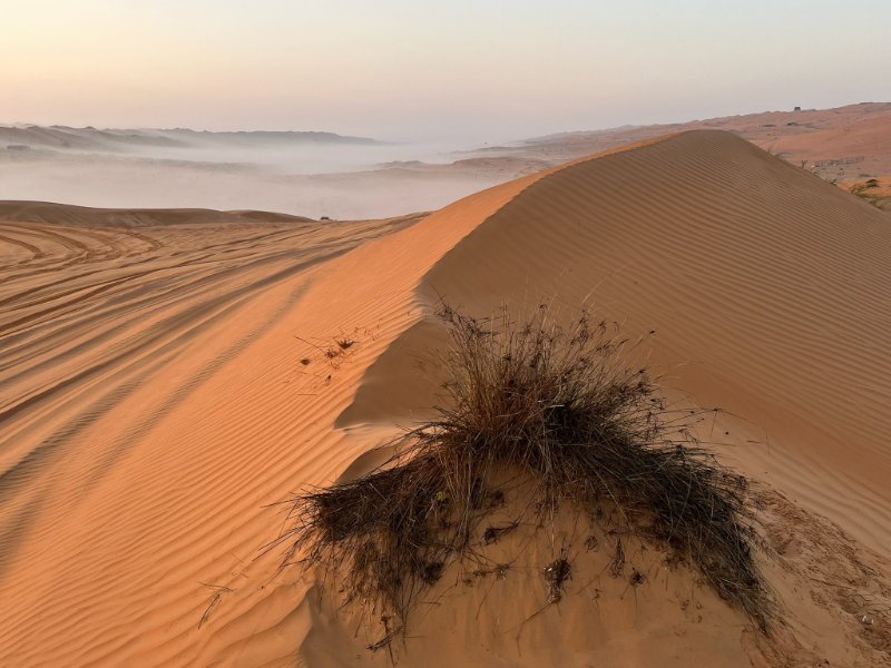 2026 02 02c - JoceMidée.jpg