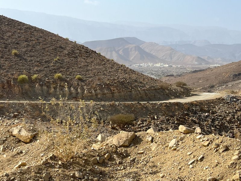 2026 02 02n - JoceMidée.jpg