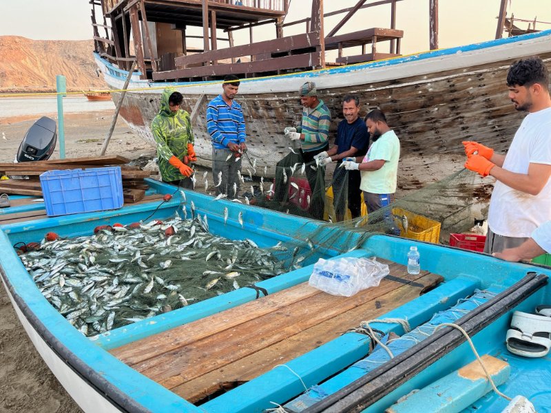 2026 02 02u - JoceMidée.jpg